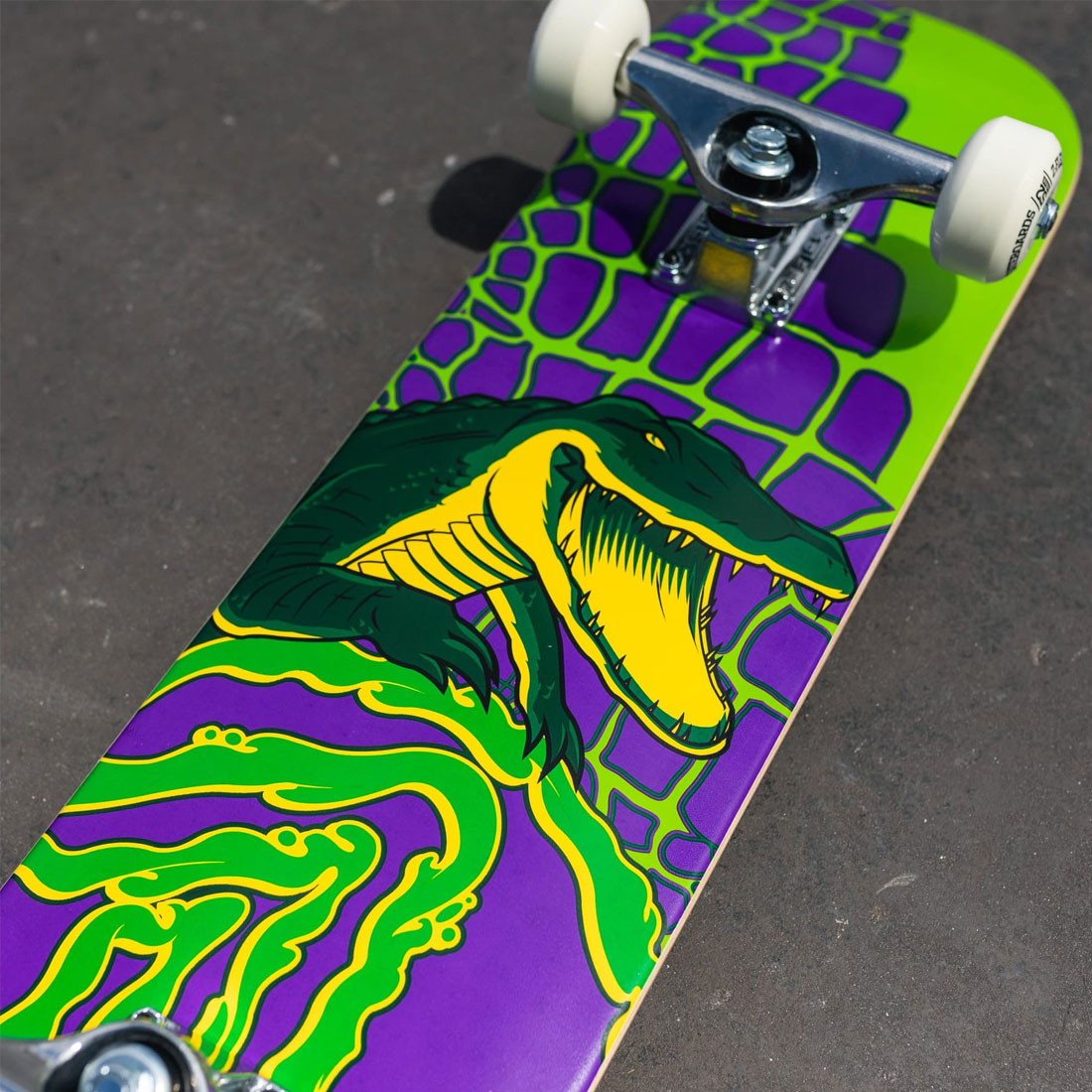 Z-Flex Gator 7.25 Mini Complete Skateboard Completes Modern Street